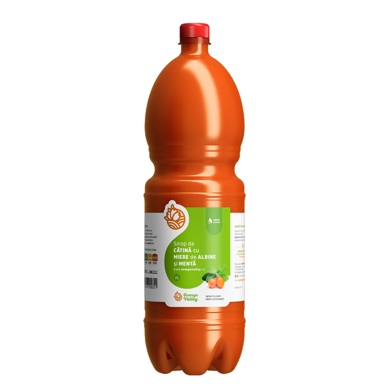 sirop-catina-menta-2l-800x800.png